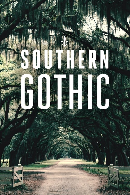 Series poster for Southern Gothic (2020)