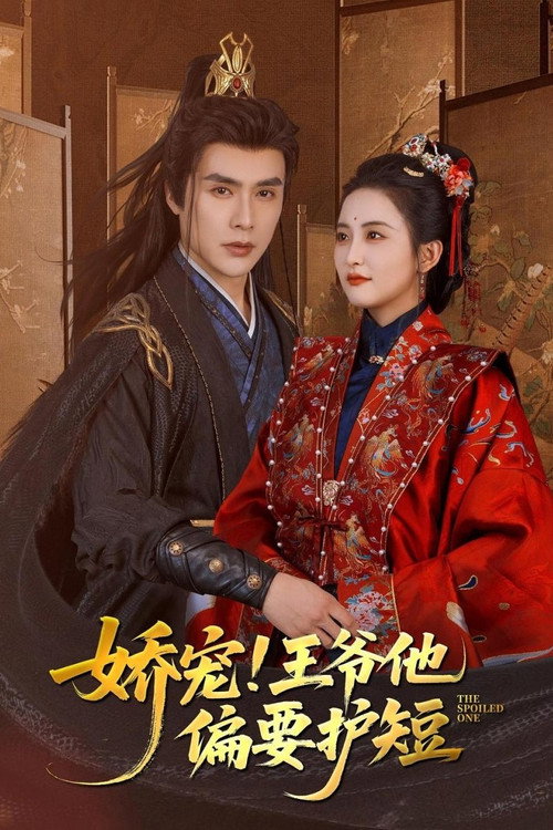 娇宠！王爷他偏要护短 poster