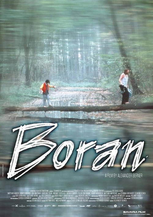 Movie poster for Boran (2002)