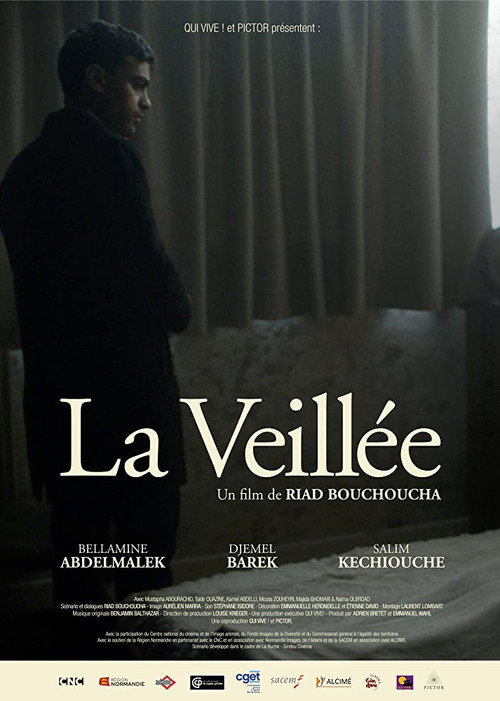 Movie poster for The Wake (2019)