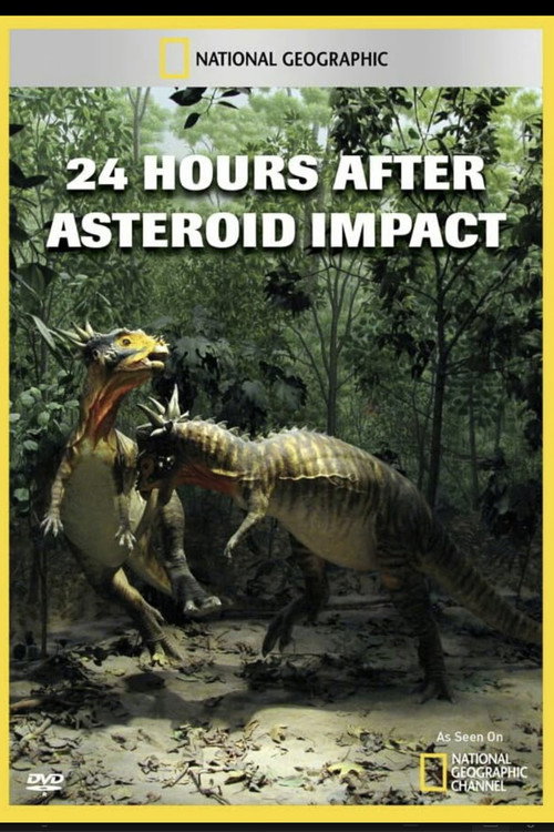Movie poster for 24 Hours After: Asteroid Impact (2009)