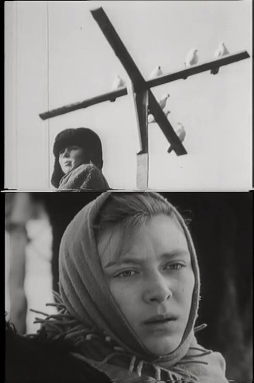 Movie poster for The Petrukha Family (1971)