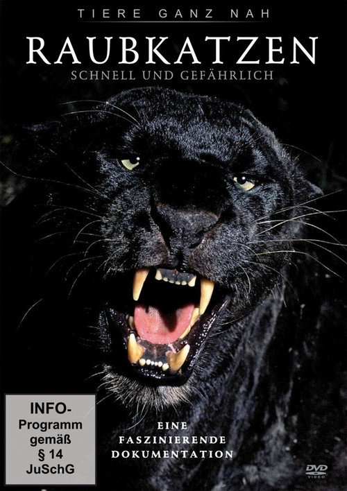 Movie poster for Big Cats: Fast and Dangerous (2012)