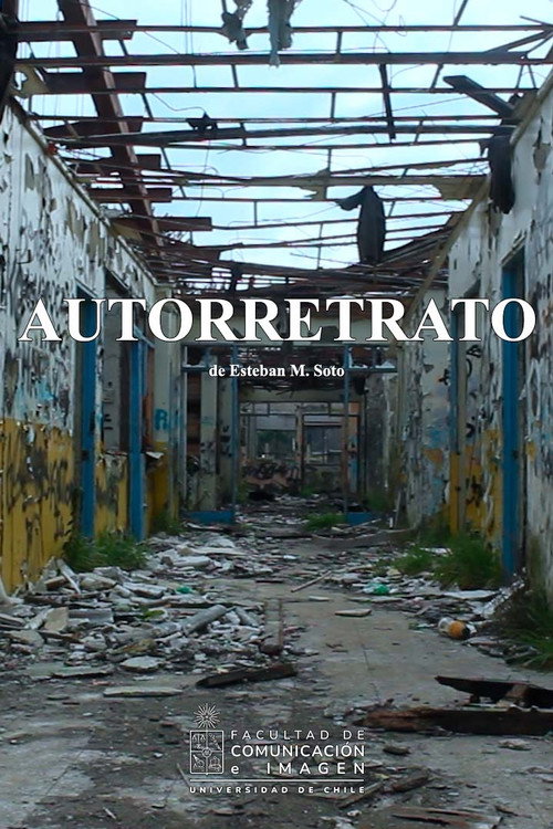 Movie poster for Selfportrait (2024)