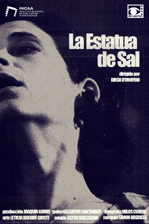 Movie poster for La Estatua de Sal (2026)
