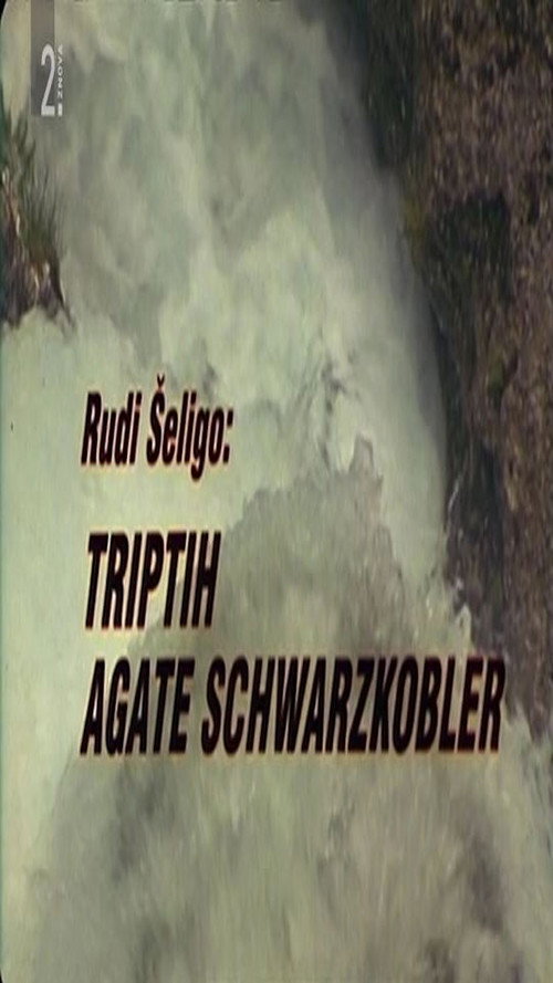 Movie poster for Triptych of Agata Schwarzkobler (1997)