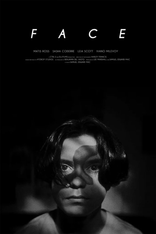 Movie poster for Face (2021)