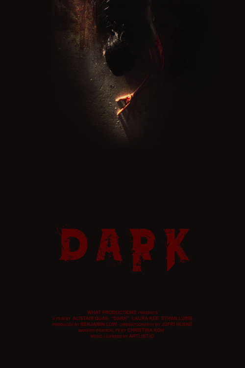 Movie poster for Dark (2023)