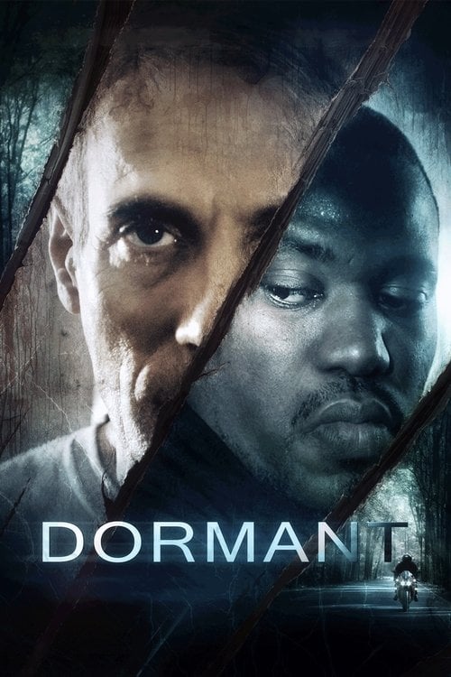 Movie poster for Dormant (2019)
