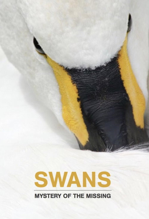 Movie poster for Swans: Mystery of the Missing (2019)