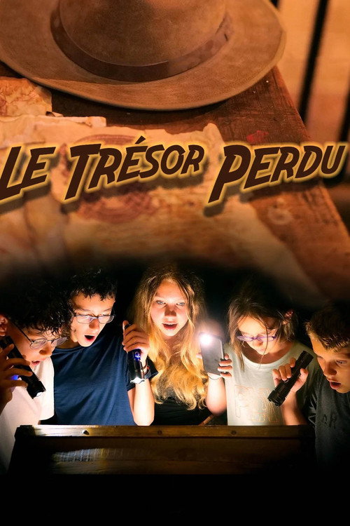 Movie poster for Le Trésor perdu (2024)
