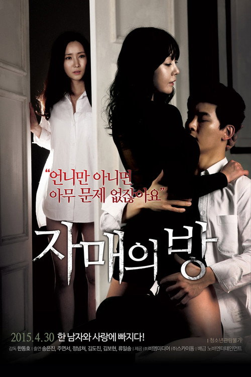 Movie poster for The Sisters' Room (2015)