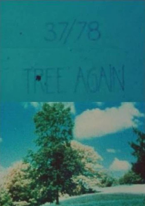 Movie poster for 37/78: Tree Again (1978)