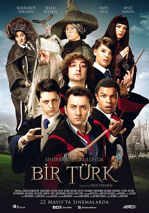 Movie poster for Sihirbazlık Okulunda Bir Türk (2015)