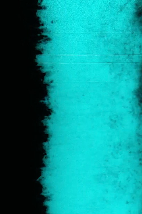 Movie poster for Winter (2013)