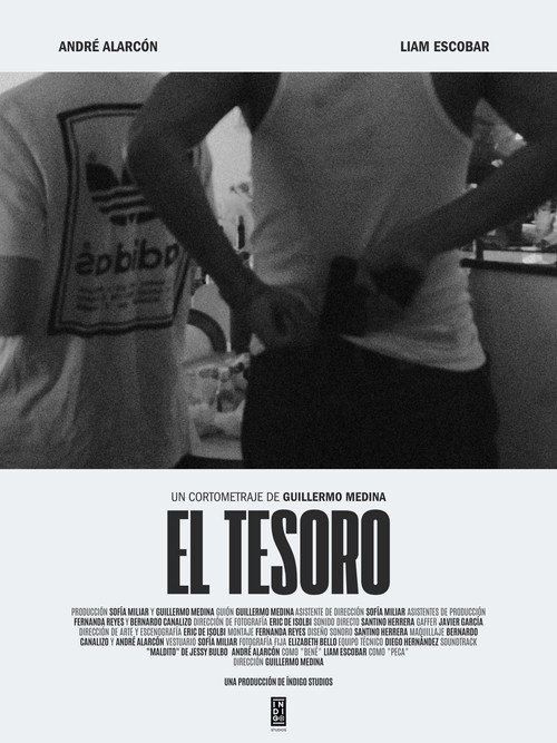 Movie poster for El Tesoro (2024)