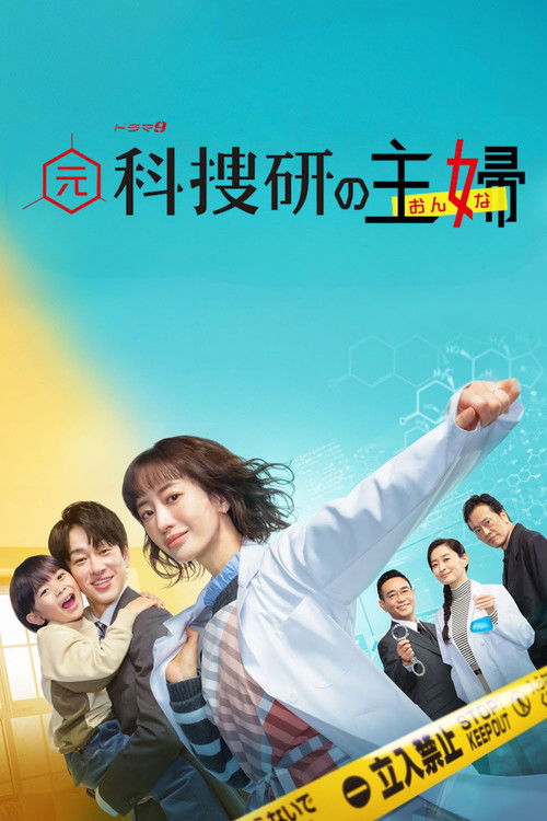 Moto Kasouken no Onna poster