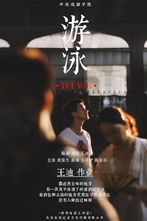 Movie poster for Dive (2017)
