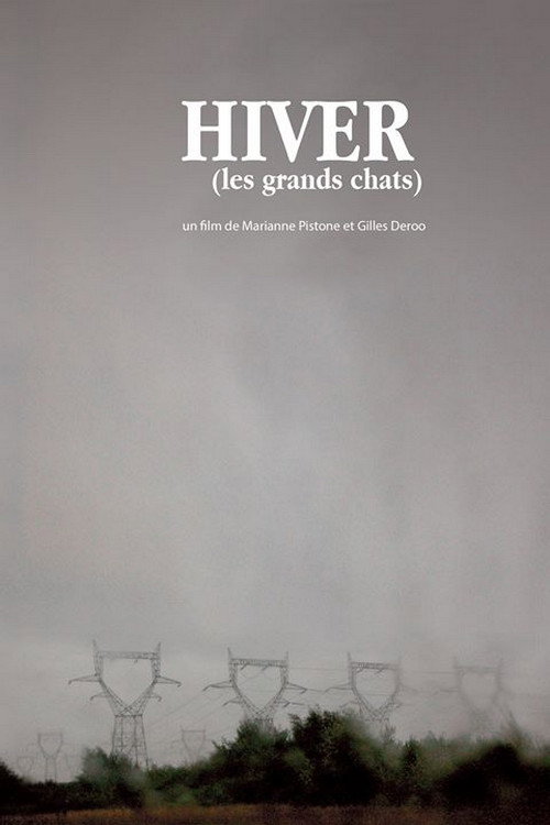 Movie poster for Winter (The Large Cats) (2008)