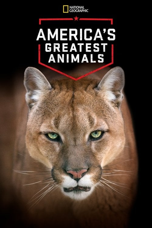 Movie poster for America's Greatest Animals (2012)