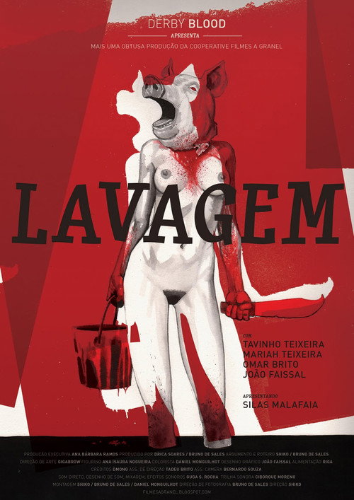 Movie poster for Lavagem (2011)