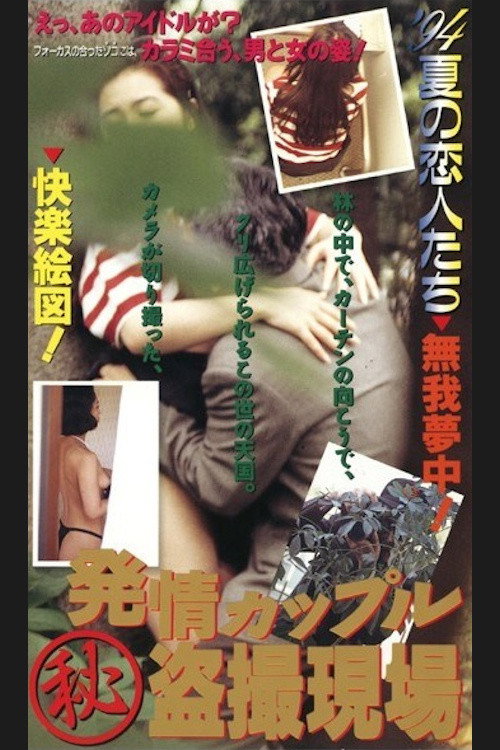Movie poster for Horny Couple: Secret Voyeurism (1994)