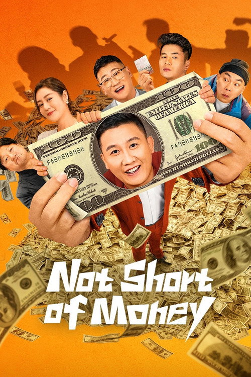 Movie poster for Not Short of Money (2024)