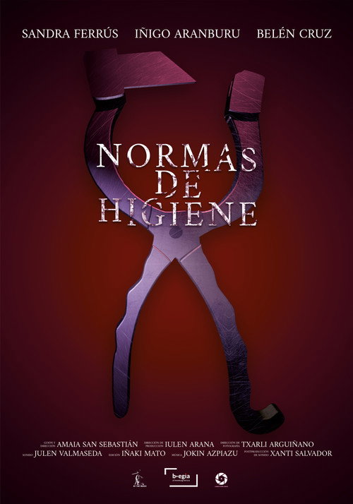 Movie poster for Hygiene Standards (2023)