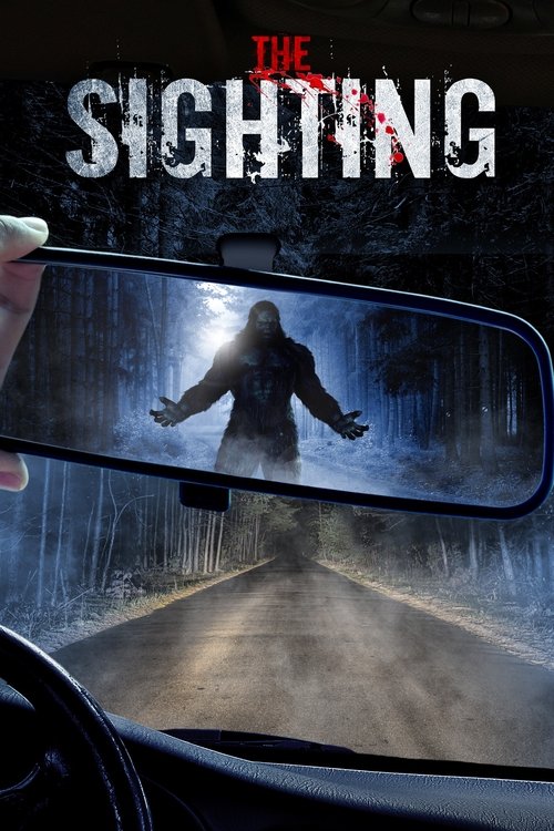 Movie poster for The Sighting (2016)