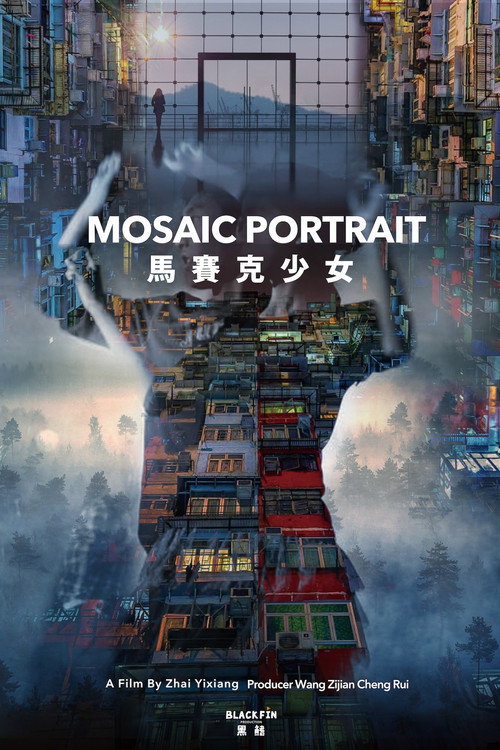 Movie poster for Mosaic Portrait (2019)