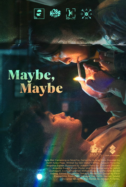 Movie poster for Maybe, Maybe