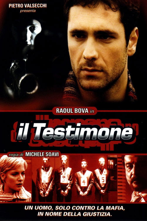 Movie poster for Il testimone (2001)