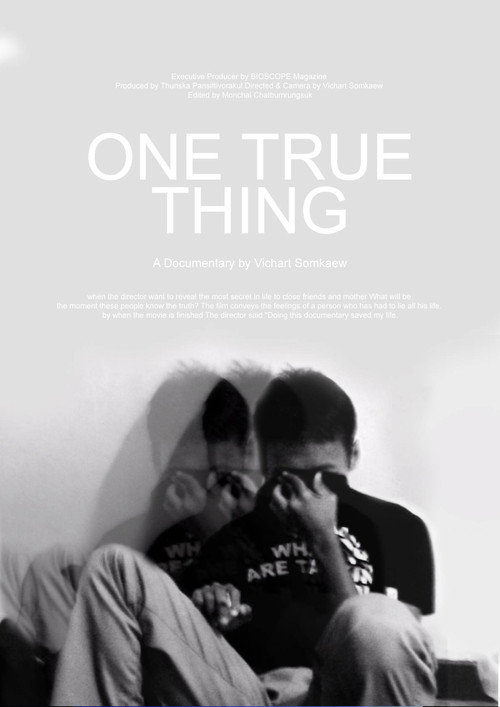 Movie poster for One True Thing (2007)