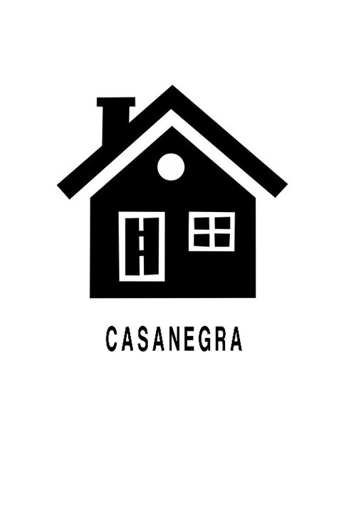Movie poster for Casanegra (2000)