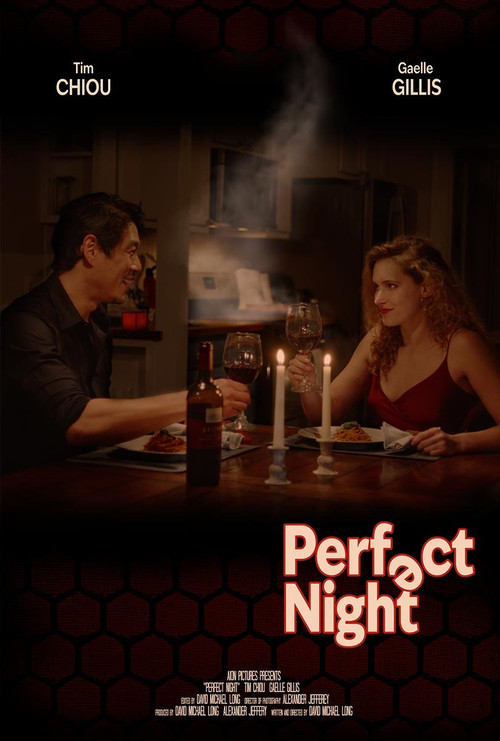 Movie poster for Perfect Night