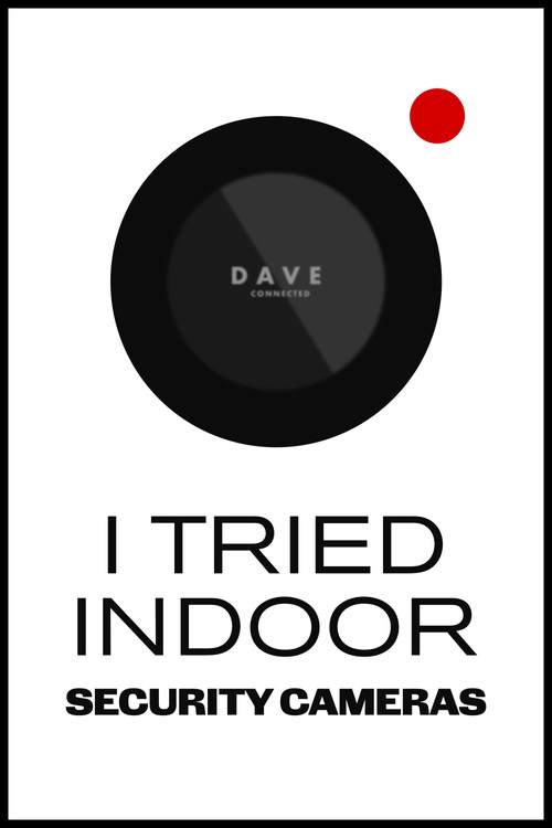 Movie poster for I Tried Indoor Security Cameras (2024)