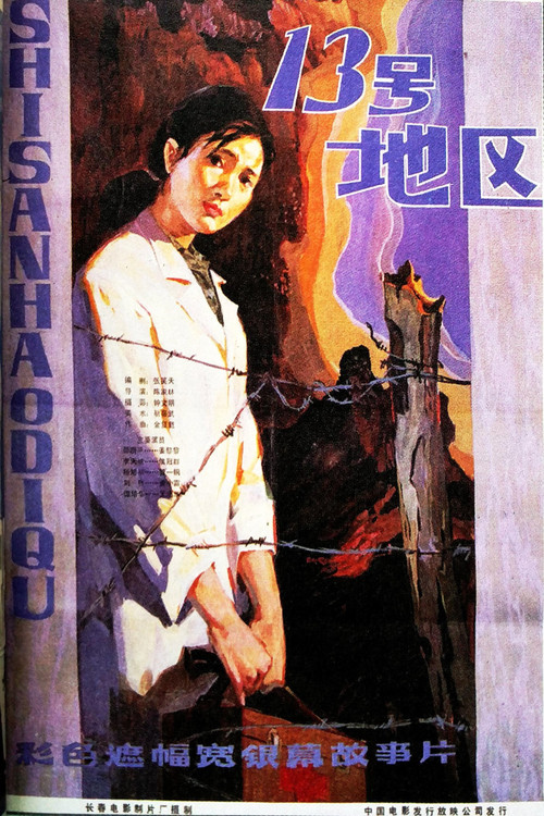 Movie poster for 十三号地区 (1984)