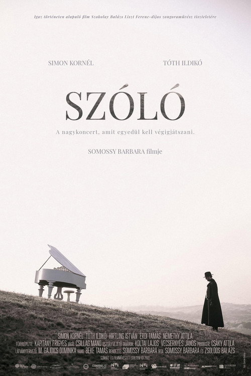 Movie poster for Szóló (2022)