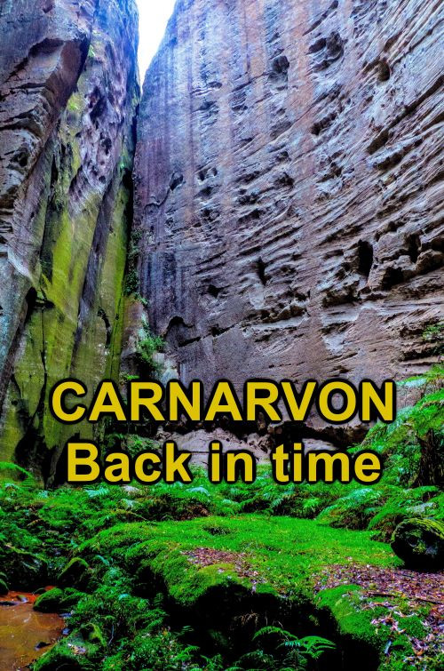 Movie poster for Carnarvon, Back in Time (2021)