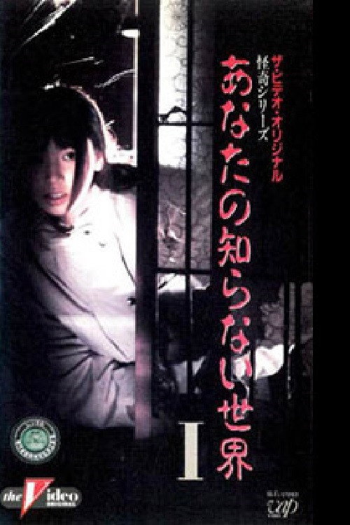 Movie poster for The World You Don't Know I (1991)