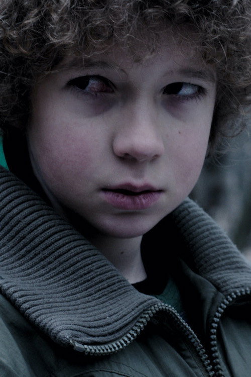 Movie poster for Rote Flecken (2013)