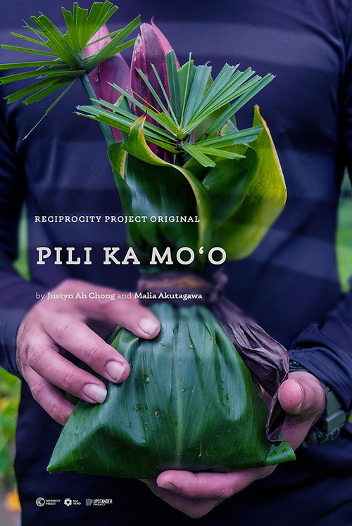 Movie poster for Pili Ka Moʻo (2022)