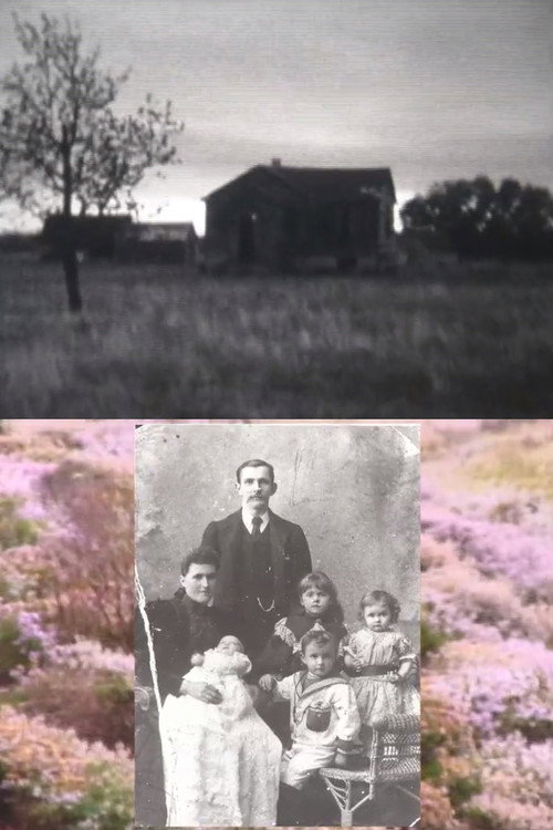 Movie poster for Homelands (2010)