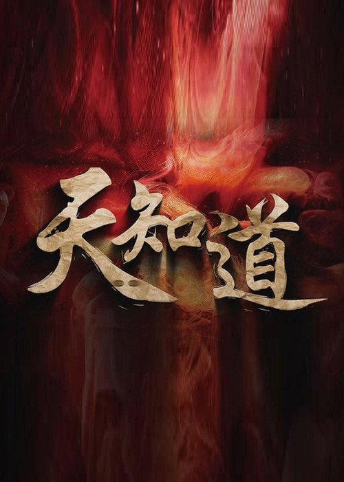 Series poster for 天知道 (2025)