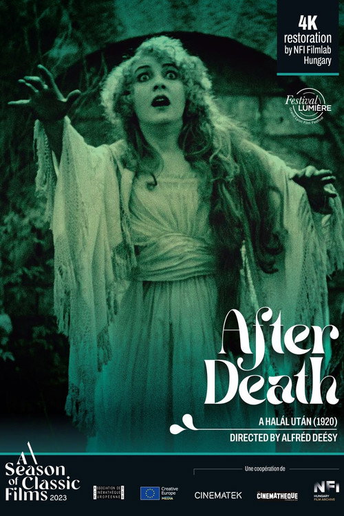 Movie poster for After Death (1920)