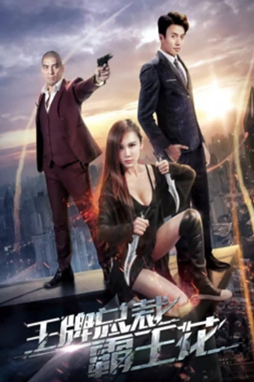 Movie poster for President and Kung Fu Girl (2017)