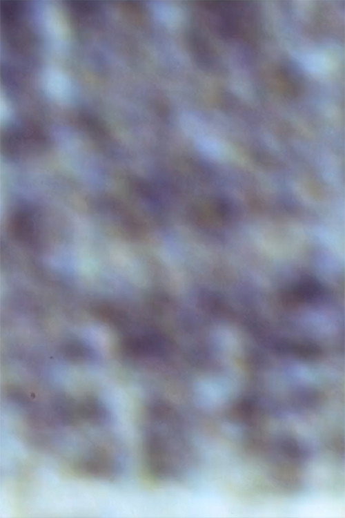 Movie poster for Gioconda/Film (1999)