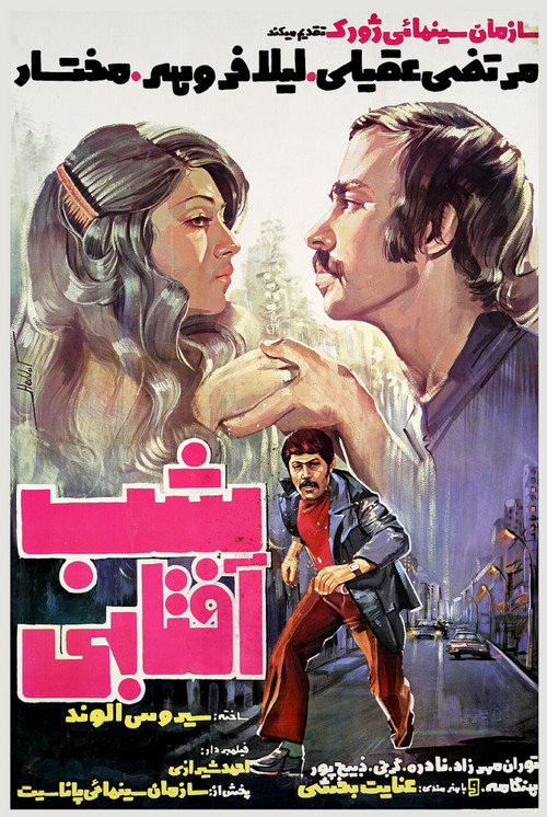 Movie poster for Sunny Night (1977)