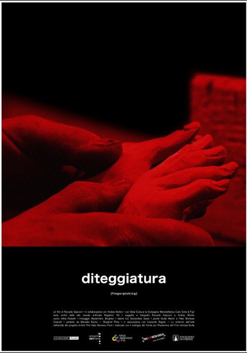 Movie poster for Fingerpicking (2021)