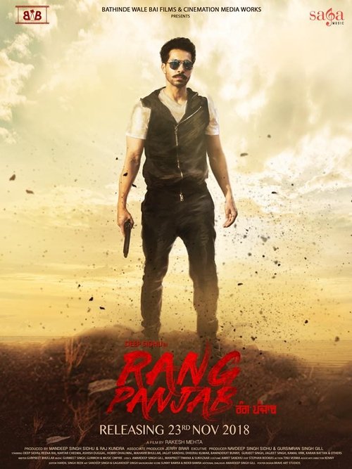 Movie poster for Rang Panjab (2018)